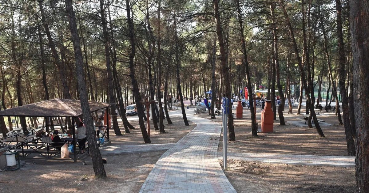 Bursa'da orman yangınlarına karşı alınan önlemler, yangınların önlenmesi ve hızla