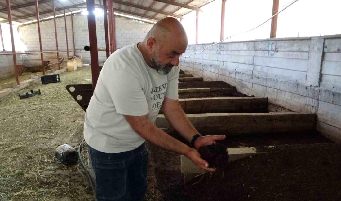 Bursa'da solucan gübresi üreticisi Serkan Doğan hakkında detaylı bilgiler, sürdürülebilir