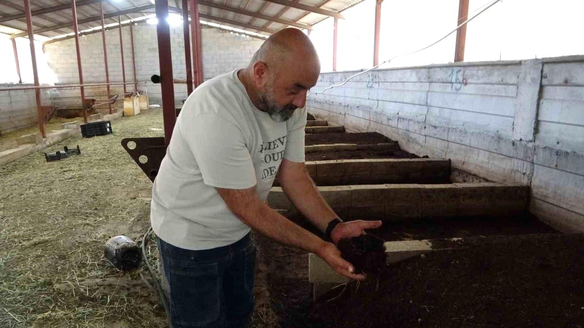 Bursa'da solucan gübresi üreticisi Serkan Doğan hakkında detaylı bilgiler, sürdürülebilir