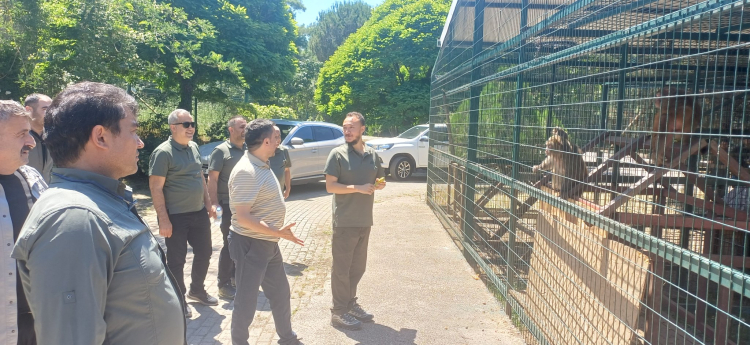 Bursa'da Yaban Hayatına Önemli Destek