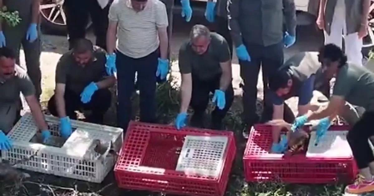 Bursa'da yaban hayatına önemli destek sağlayan projeler ve çalışmalar hakkında