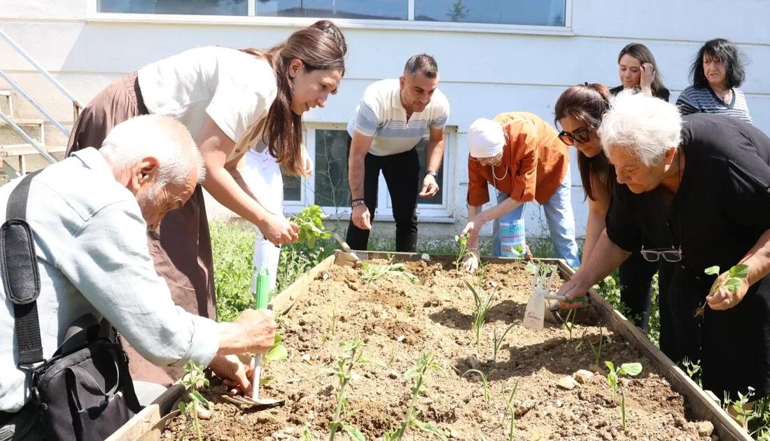 Bursa'da düzenlenen yaşlılar fide dikimi etkinliği, toplumun dayanışma ve çevre
