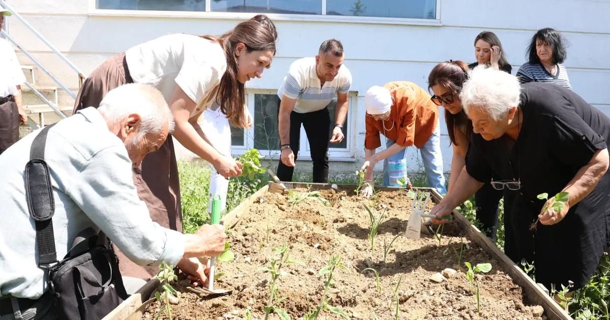 Bursa'da düzenlenen yaşlılar fide dikimi etkinliği, toplumun dayanışma ve çevre