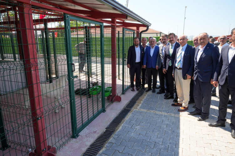 Bursa'da Yeni Hayvan Bakımevi Açıldı