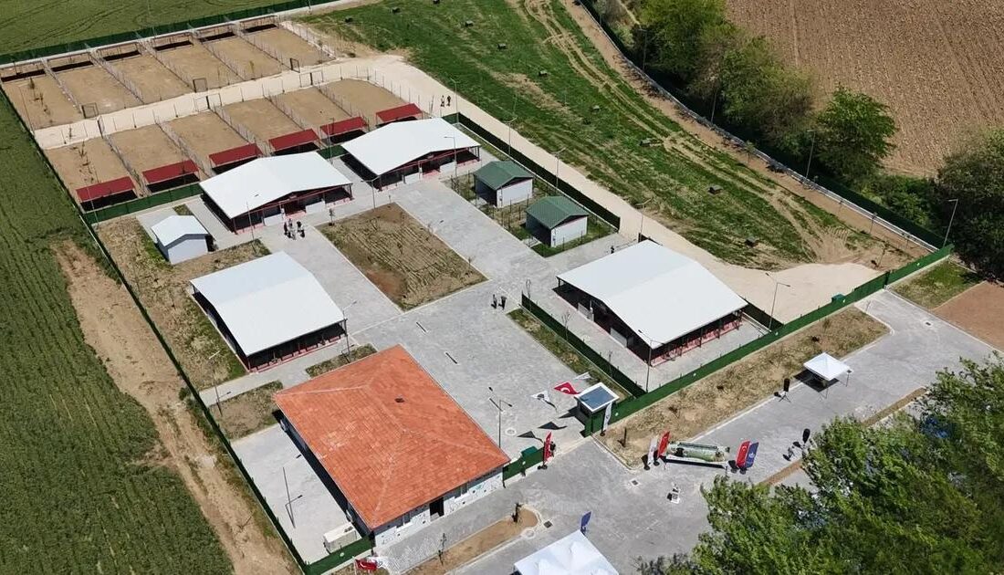 Bursa'da yeni hayvan bakımevi açıldı. Hayvanseverlere kaliteli bakım ve sağlık