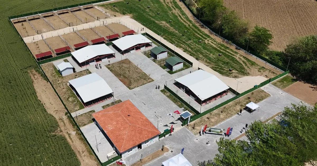 Bursa'da yeni hayvan bakımevi açıldı. Hayvanseverlere kaliteli bakım ve sağlık