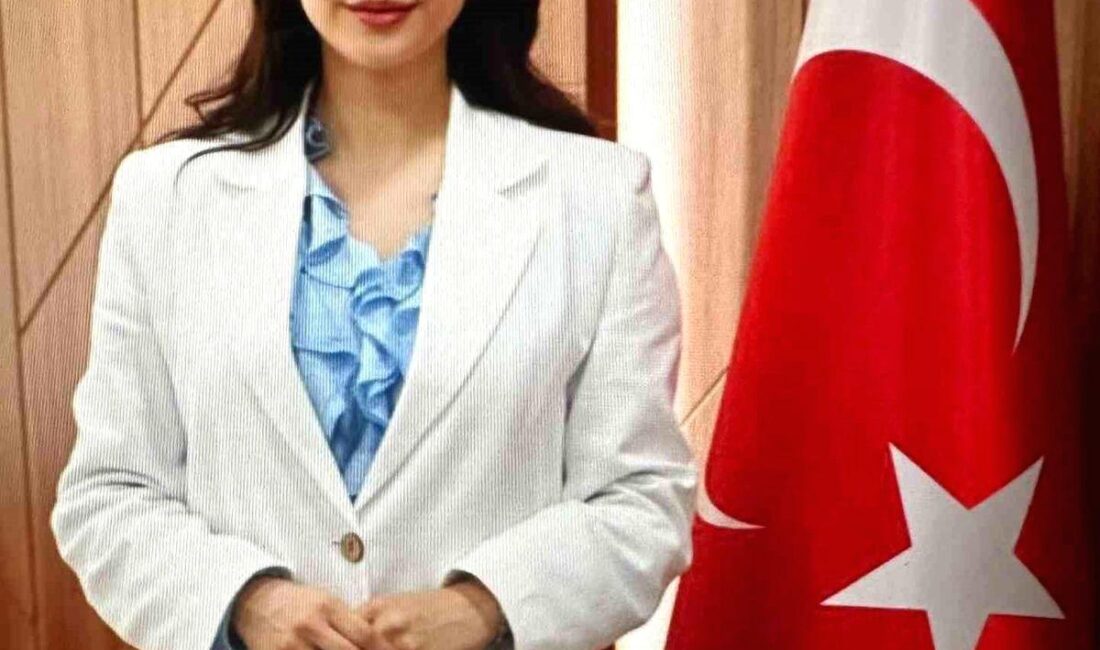 Bursa'daki kurumsal değişim hareketlerini inceleyen bu içerik, yönetimsel dönüşüm ve