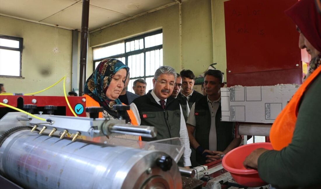 Bursa'daki orman fidanlık çalışmaları, sürdürülebilir orman yönetimi ve gençleştirme projeleriyle