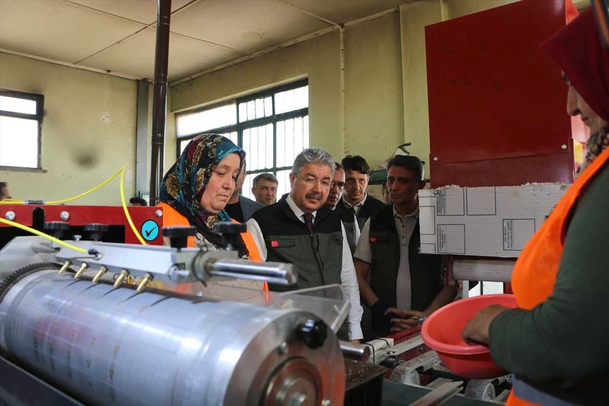 Bursa'daki orman fidanlık çalışmaları, sürdürülebilir orman yönetimi ve gençleştirme projeleriyle