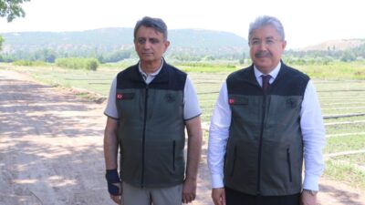 Bursa'daki yangınlara karşı fidan desteği ile ormanların korunmasına katkı sağlayın.