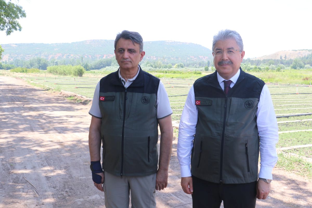 Bursa'daki yangınlara karşı fidan desteği ile ormanların korunmasına katkı sağlayın.