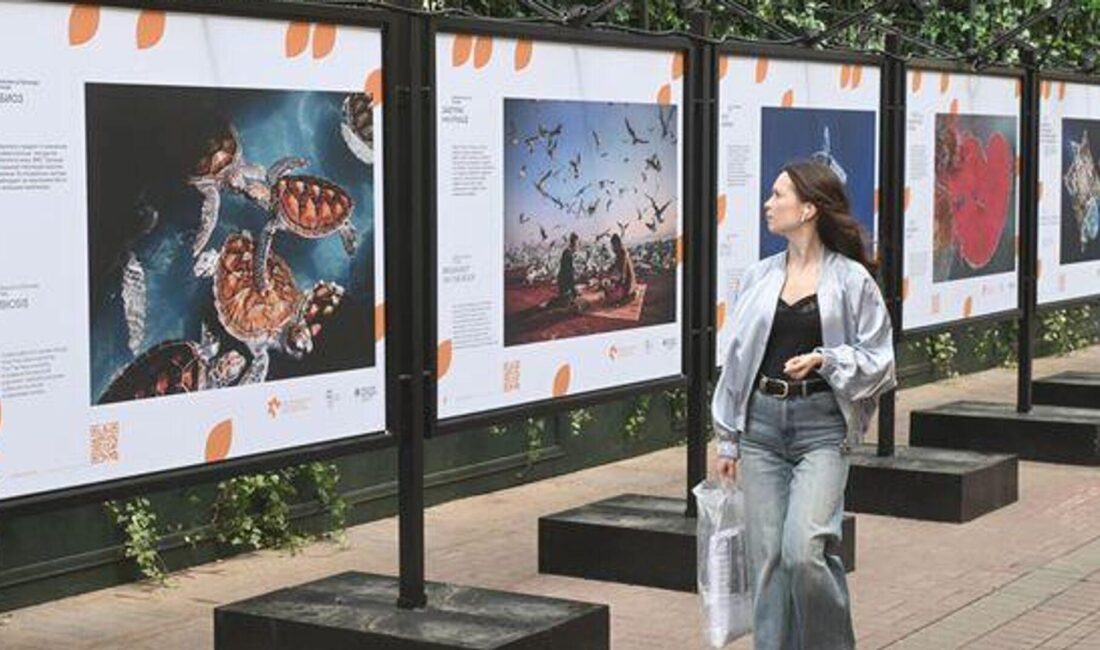 Dünyaca ödüllü fotoğrafçılık sergisi, eşsiz kareleri ve sanat dolu eserleriyle