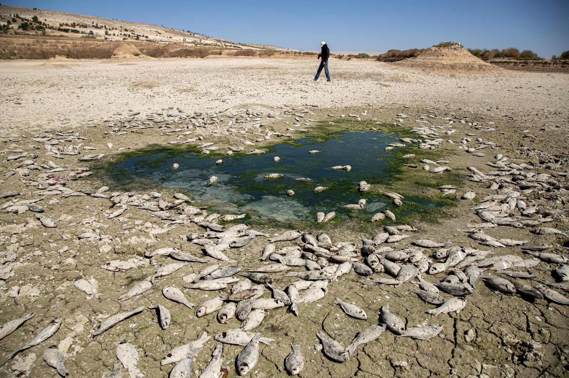El Nino Şiddetleniyor, Küresel Sıcaklıklar Artabilir