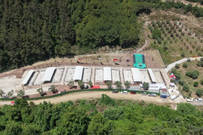 Gemlik'te Sahipsiz Hayvanlara Modern Tesis