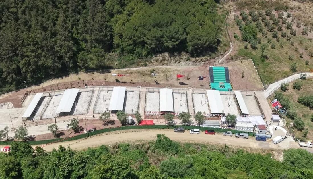 Gemlik'te sahipsiz hayvanlar için modern, hijyenik ve güvenli tesislerimizle hizmetinizdeyiz.