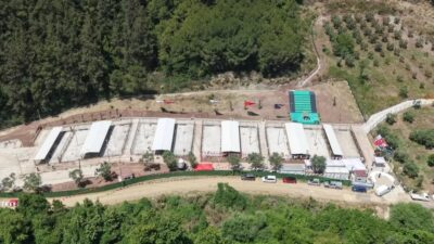Gemlik'te sahipsiz hayvanlar için modern, hijyenik ve güvenli tesislerimizle hizmetinizdeyiz.