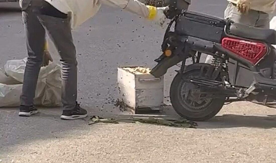 İnegöl'de yaşanan arı saldırısı, ilginç ve dikkat çekici anlara sebep