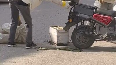 İnegöl'de yaşanan arı saldırısı, ilginç ve dikkat çekici anlara sebep