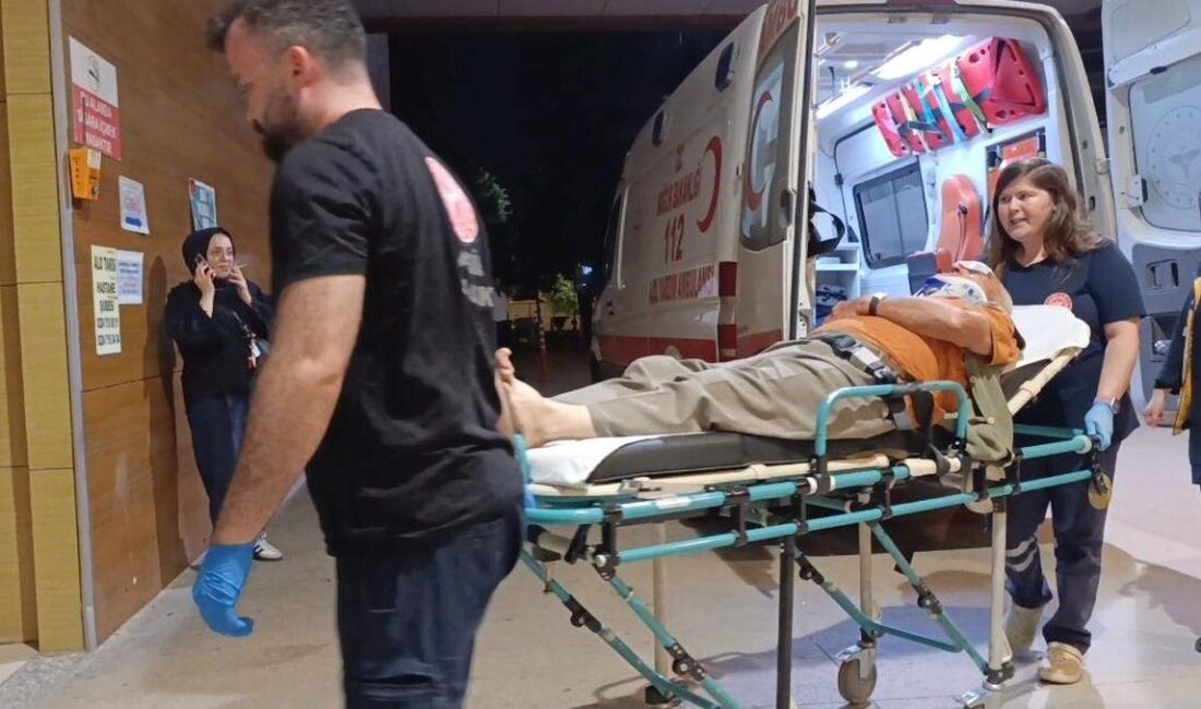 İnegöl'de erik ağacından düşen yaşlı adam ağır şekilde yaralandı. Olayla