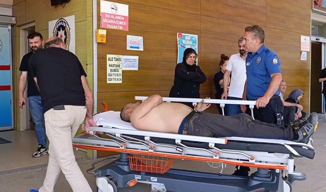 İnegöl'de kiraz ağacı düşme kazasıyla ilgili detaylı bilgi, nedenleri ve