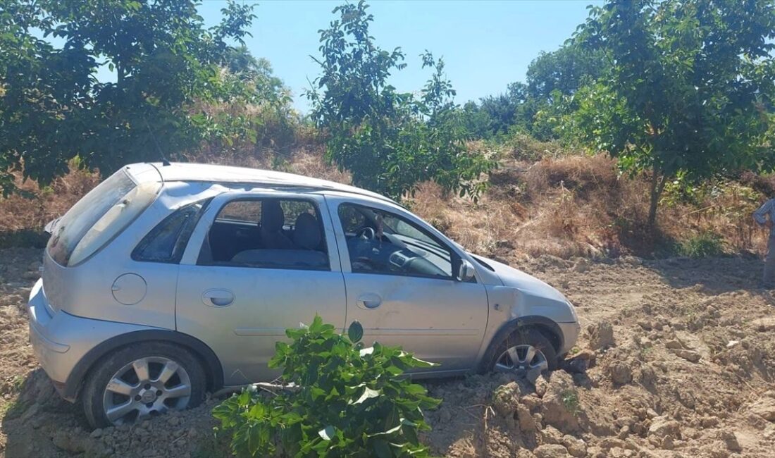 İnegöl'de otomobilin meyve bahçesine girmesiyle ilgili detaylar ve gelişmeler resmi