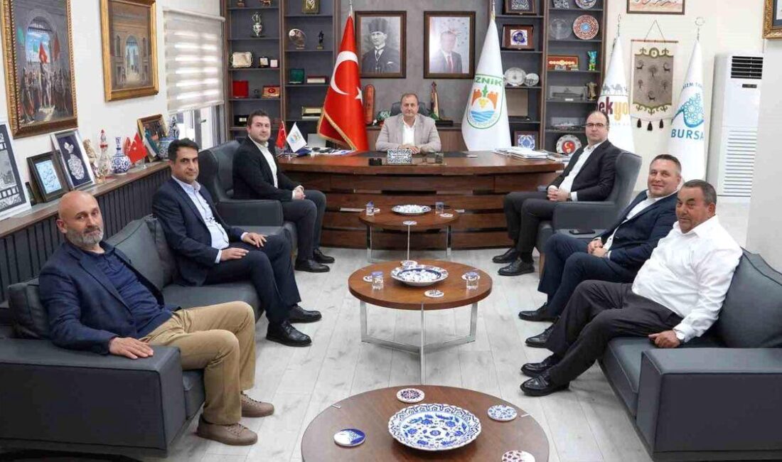 İznik'te doğalgaz altyapısındaki gelişmeler ve güncel projeler hakkında detaylı bilgi.