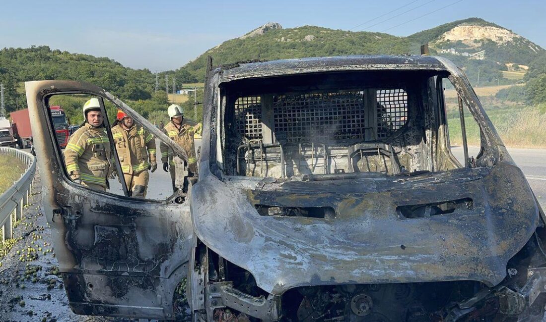 İznik'te yanan erik yüklü kamyonetin güvenlik ve olay detaylarını, yangın