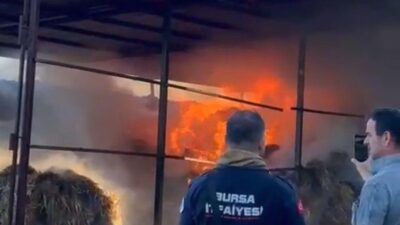 Karacabey'de çiftlik yangını sonucu 4 hayvan hayatını kaybetti. Olayla ilgili