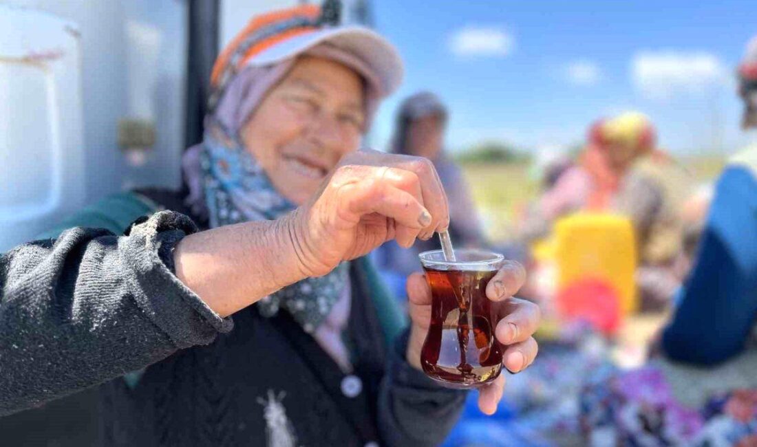 Karacabey'de odun ateşi çayı ile doğal ve sıcak bir keyif