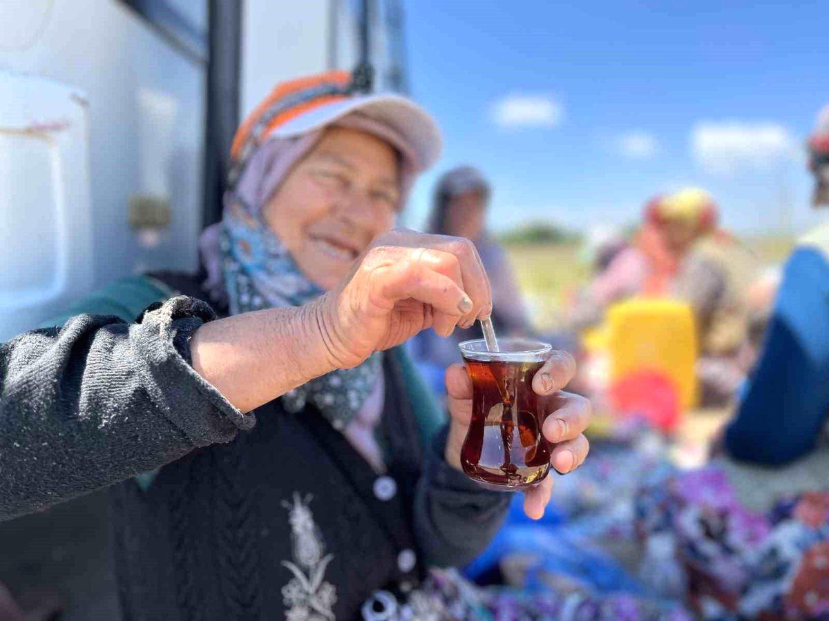 Karacabey'de odun ateşi çayı ile doğal ve sıcak bir keyif