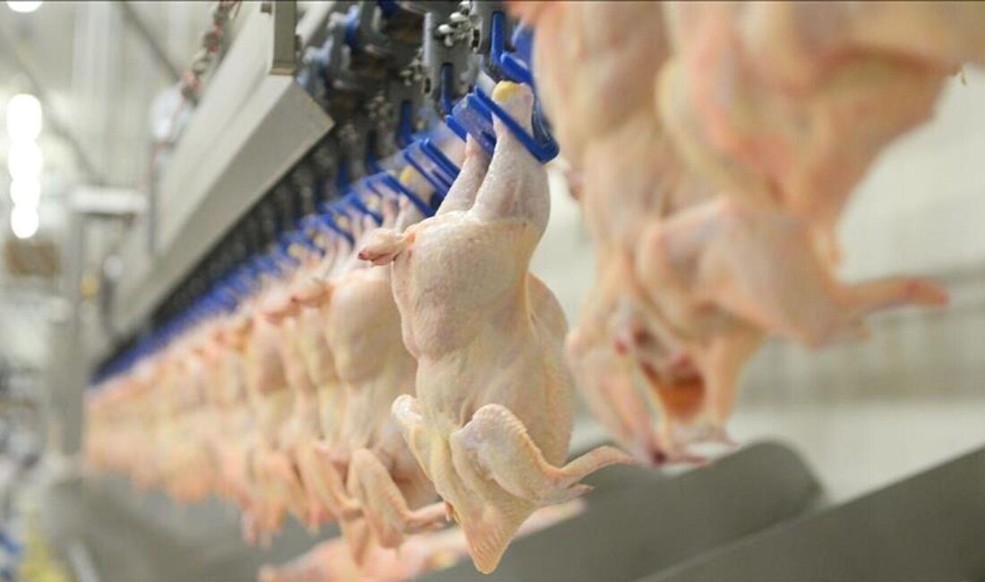 Marketlerde rekor ceza yağarken, fiyatlar denetimlerle kontrol altına alınarak tüketici