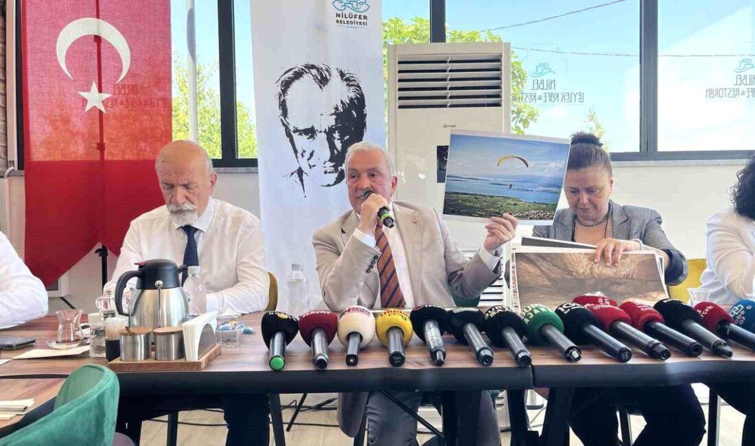 Nilüfer'de tarım ve sanayi alanındaki çatışmaların sebepleri, etkileri ve çözüm