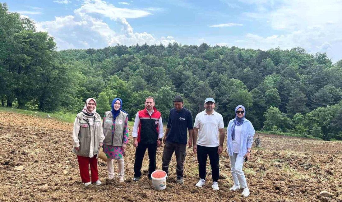 Orhaneli'nde Sorgun Sudan Otu dağıtımına ilişkin detaylar, resmi bilgiler ve