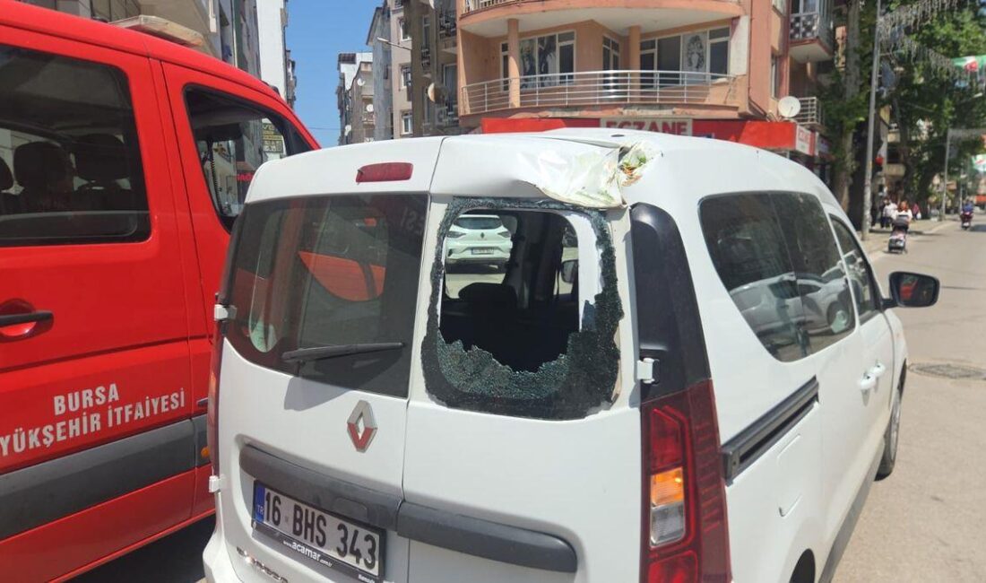 Orhangazi'de tarihi çınar ağaçlarının devrilmesiyle ilgili gelişmeler, detaylar ve etkileri