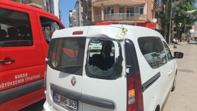 Orhangazi'de tarihi çınar ağaçlarının devrilmesiyle ilgili gelişmeler, detaylar ve etkileri