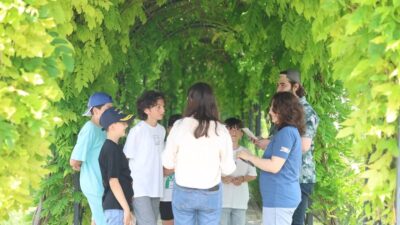 Osmangazi Belediyesi'nin düzenlediği doğa eğitim programlarıyla çevre bilincinizi geliştirin ve