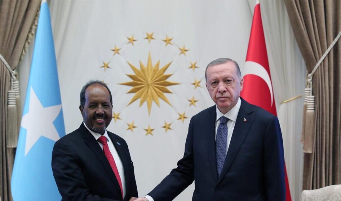 Somali'nin hidrokarbon stratejisi ve ekonomik gelecek üzerine analizler, potansiyel kaynaklar