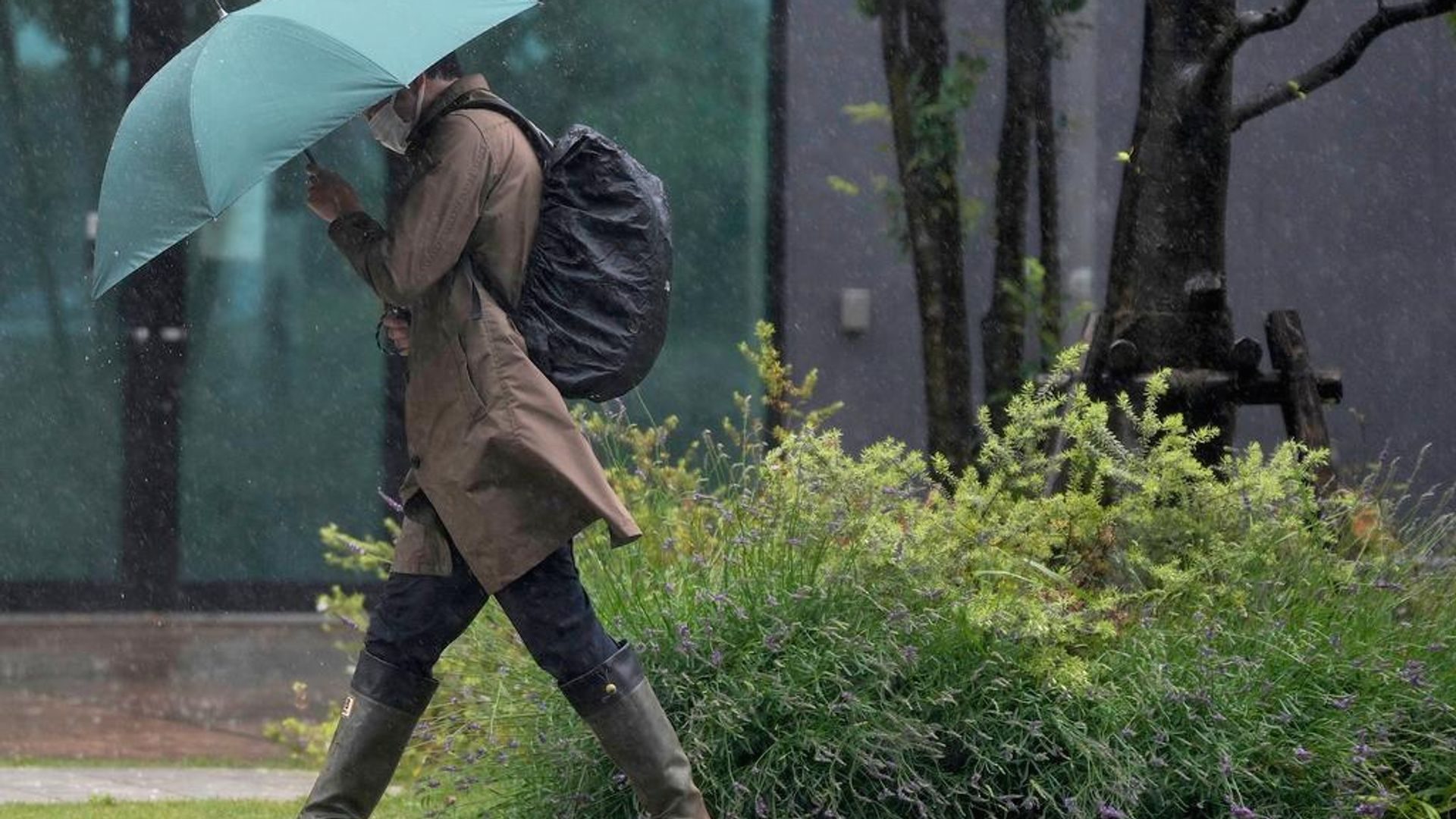 Doğu Asya'ya yaklaşan tayfunlar yaşamsal tehdit oluşturuyor, alarm ve tahliye