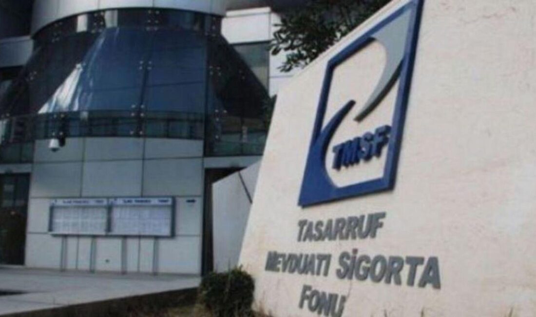 TMSF dev satış yapıyor! Beş şirket 1.95 milyar TL'ye satışta,
