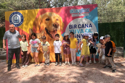 Yıldırım’da Sahipsiz Hayvanlara Büyük İlgi