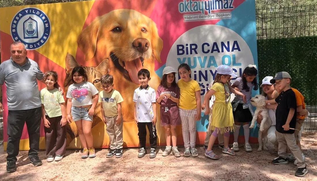 Yıldırım ilçesinde sahipsiz hayvanlara gösterilen ilgi ve yapılan çalışmalar hakkında