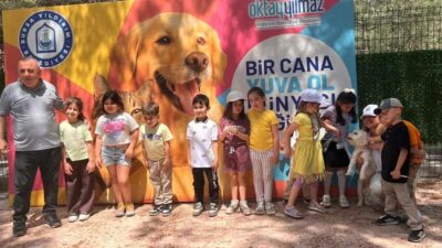 Yıldırım ilçesinde sahipsiz hayvanlara gösterilen ilgi ve yapılan çalışmalar hakkında