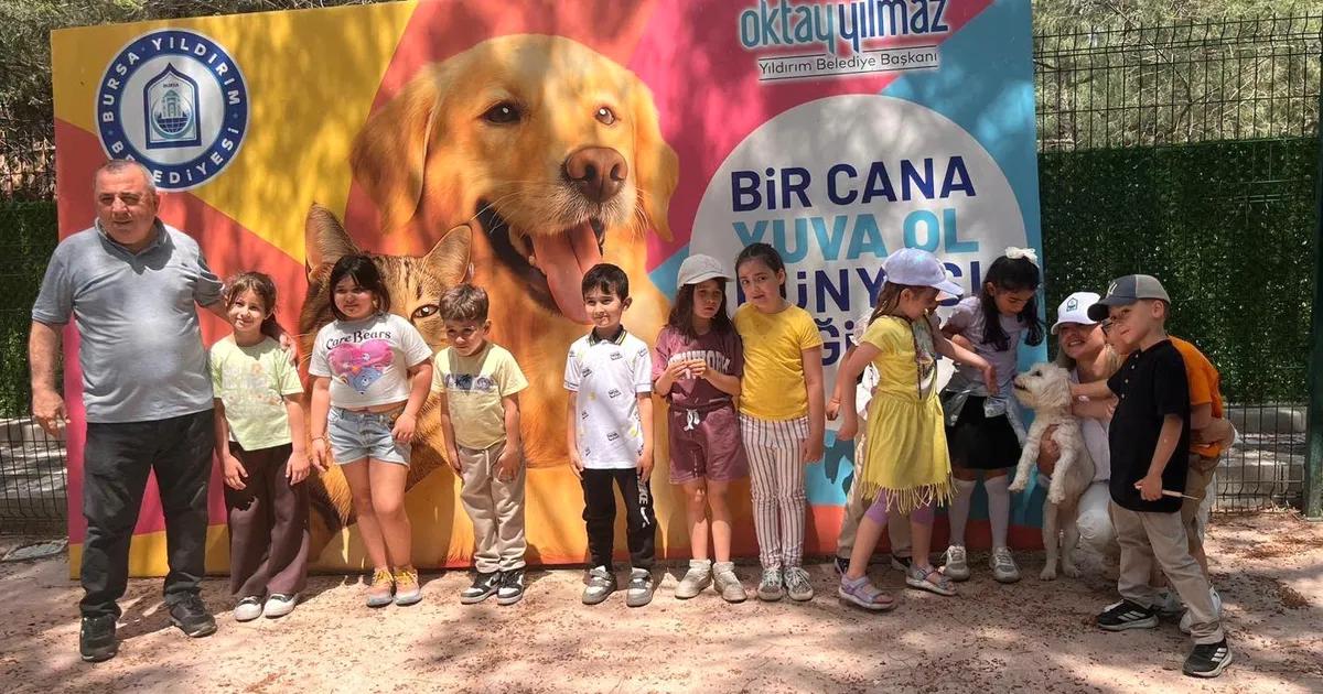 Yıldırım ilçesinde sahipsiz hayvanlara gösterilen ilgi ve yapılan çalışmalar hakkında