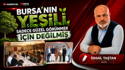 Bir şehri yeşil yapan nedir? Uzaktan bakıldığında görünen ağaçlar mı?