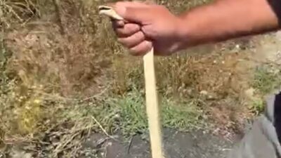 İnegöl, Bursa'da yılan kurtarma olayıyla ilgili detaylı bilgi ve gelişmeler.