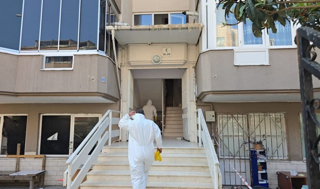 Bursa Mudanya'da çöplükte gerçekleştirilen kurtarma operasyonunun detayları, başarıları ve bölgedeki
