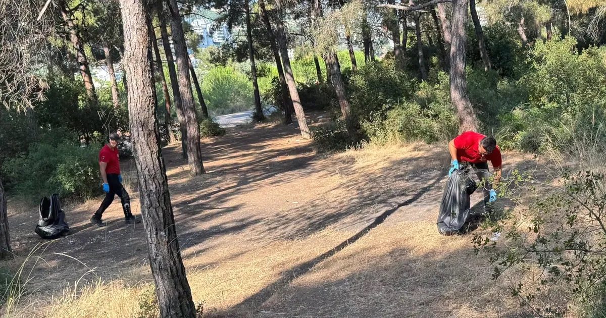 Bursa Mudanya bölgesinde orman yangını önleme çalışmaları hakkında detaylı bilgi.