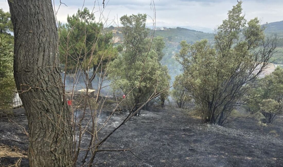 Bursa Mudanya'daki orman yangını başarıyla söndürüldü. Yetkililer yangının kontrol altına