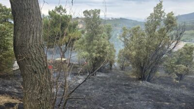 Bursa Mudanya'daki orman yangını başarıyla söndürüldü. Yetkililer yangının kontrol altına
