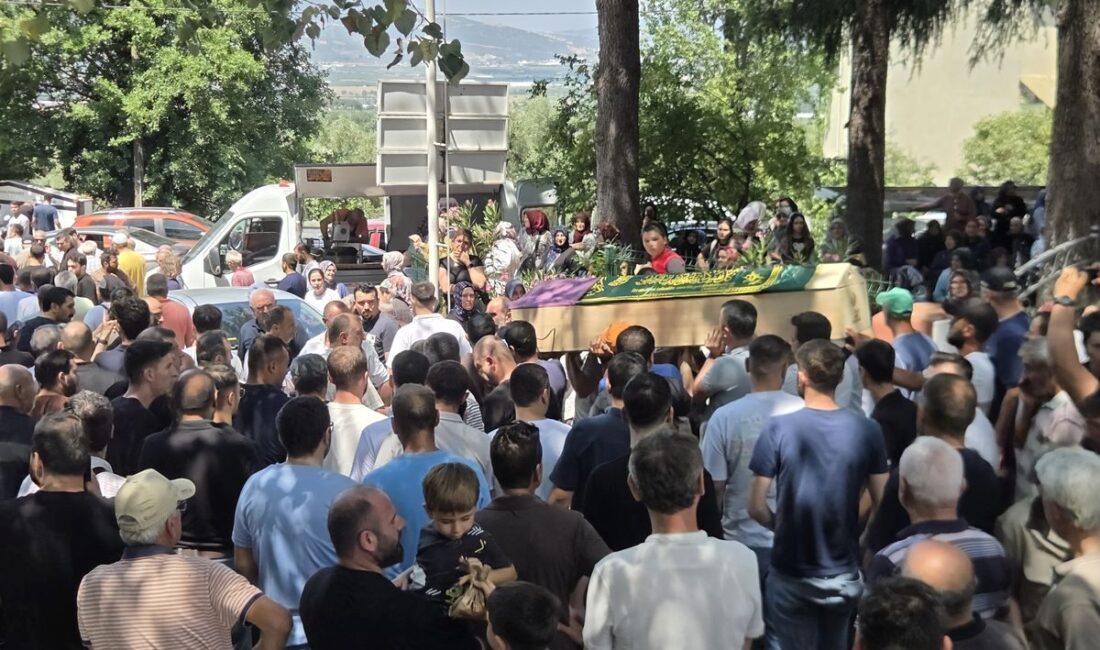 Bursa-Orhangazi'de meydana gelen trafik kazası hakkında detaylar ve güncel bilgiler.